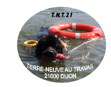 TNT21 terre neuve au travail 21*