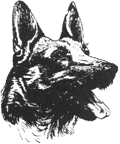 Club du Chien de Défense et de Police de Lyon