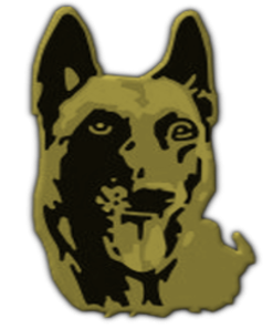 GENEA LOGIQUE Malinois
