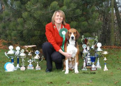Elevage FLIXTONIA HAMILTON STOVARE Chien courant Hamilton England