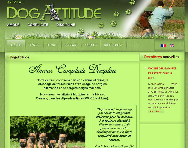 DOGATTITUDE 06 Pension animaux Dressage Elevage de chiens*