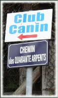 CLUB CANIN DU MANTOIS, à ROSNY SUR SEINE*