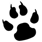 Chiens .fr, les nouvelles canines, des races de chien pour tous les chiens :-D