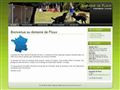 Elevage Pension DOMAINE DE FLOUX St Bernard British Shortair