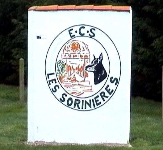 Club éducation canine & sportive des SORINIERES