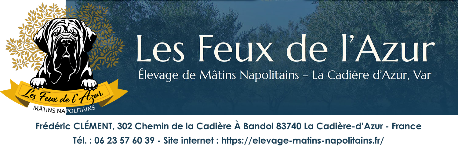 ELEVAGE "LES FEUX DE L'AZUR" de MATINS NAPOLITAINS