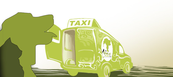 BOULE DE POILS & Co Prestataire de service aux animaux sur Marly*