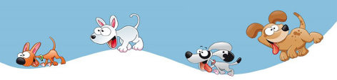 Club canin education agility Audun le Roamn *