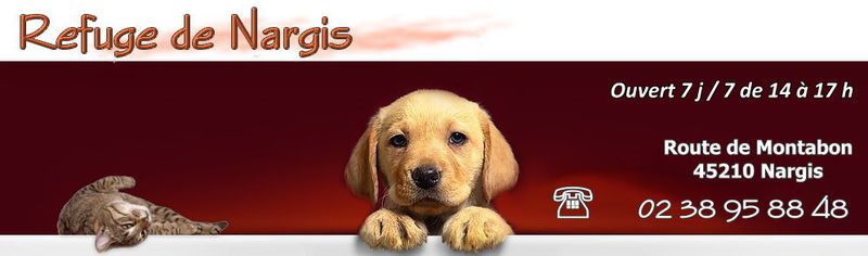 REFUGE animaux DE NARGIS 45 , limite 77 *