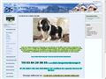 E3leveur de LA VALLEE D ALINA Cavalier king charles*