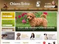 Elevage LES CHIENS DU DOMAINE DE LA CHAPELLE AU BOIS setter anglais epagneul francais