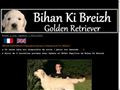 Elevage DE BIHAN KI BREIZH Golden Retriever *