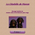 Elevage CITADELLE DE MANON Teckels poils longs*