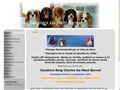 Elevage DU MONT BERRUE Cavalier King Charles *