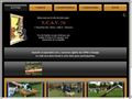 Club canin dressage ECAV 72