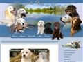 Elevage DU BOIS DE LUCY Golden retriever Labrador