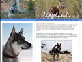Elevage JAMTHUND Chien d'Elan Suédois Sweden