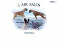 Elevage de L AIR SALIN*