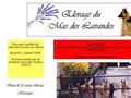 Elevage DU MAS DES LAVANDES Berger Belge Malinois *