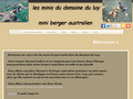 Elevage DOMAINE DE LUY mini Berger Australien*