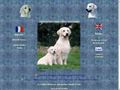 Elevage OF FAR AND AWAY golden retriever