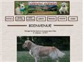 Elevage DU VAL CHANTELLOIS golden retriever