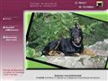 Elevage MANOIR DE VAREMBON Beauceron*