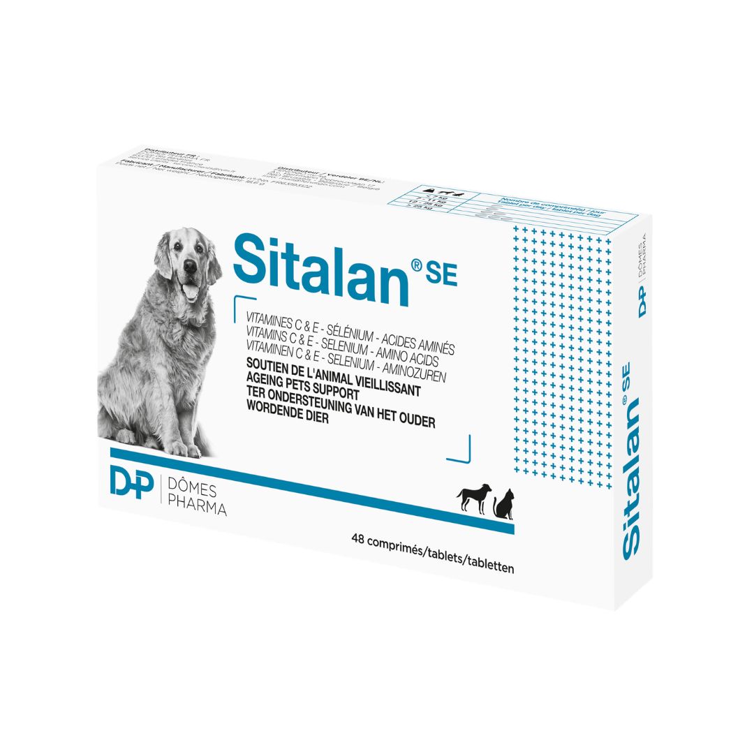 Sitalan pour chiens et chats âgés