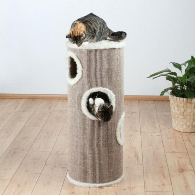 Arbre à chat hauteur 100 cm coloris beige Cat Tower Edoardo Trixie
