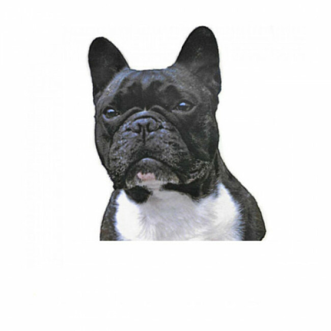 Autocollant De Boussole Avec Montagne Jeep, Autocollant De Voiture, Autocollant De Capot En Vinyle Impermeable Autocollant De Fenetre Autocollant Lateral De Carrosserie 60x50cm 85259763