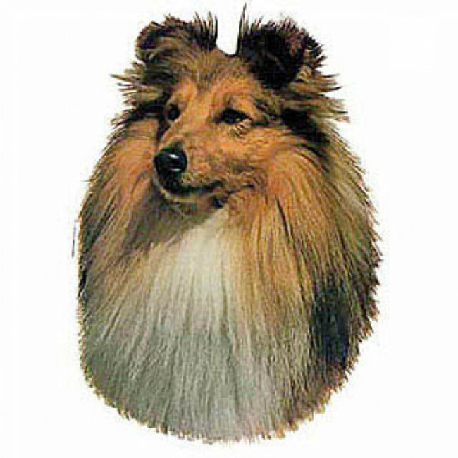 Autocollant race de chien Shetland | Polytrans