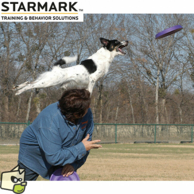Frisbee Easy Glide Durafoam Starmark en mousse pour chien