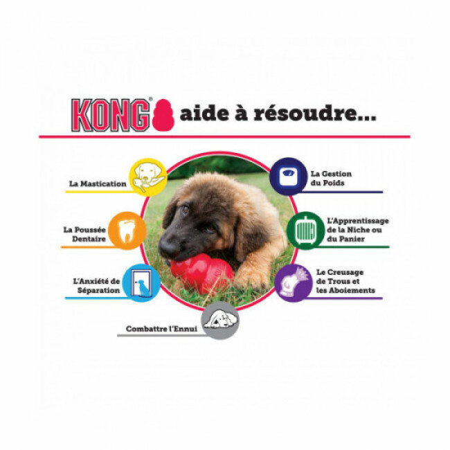 Canne perche pour exciter le chat Canne à pêche peluche et plumes pour chat KONG