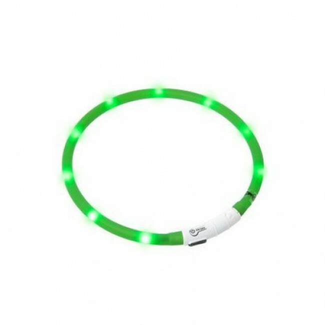 Collier lumineux Visio Light à LED pour chien Vert