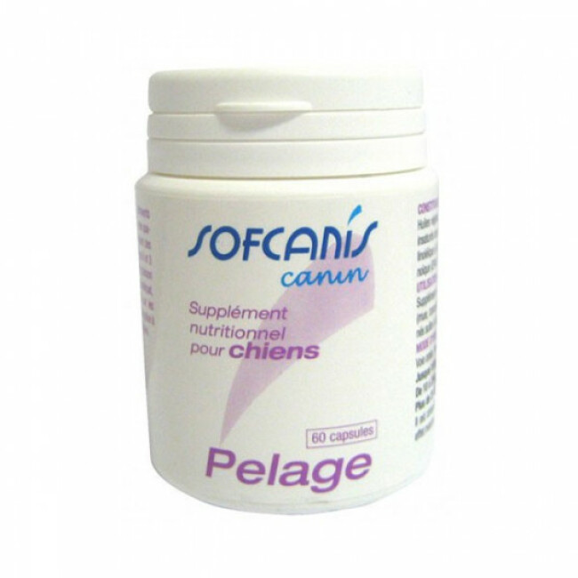 Sofcanis Pelage