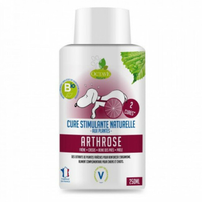 Cure naturelle bio arthrose pour chien