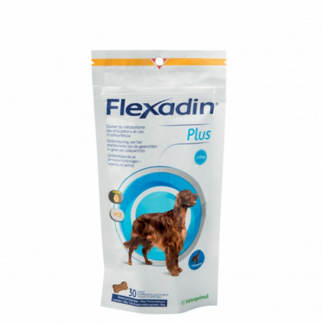 Complément alimentaire pour chien de plus de 10 kg