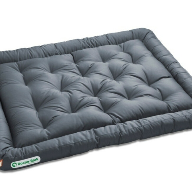 Coussin gris Doctor Bark Taille XXL