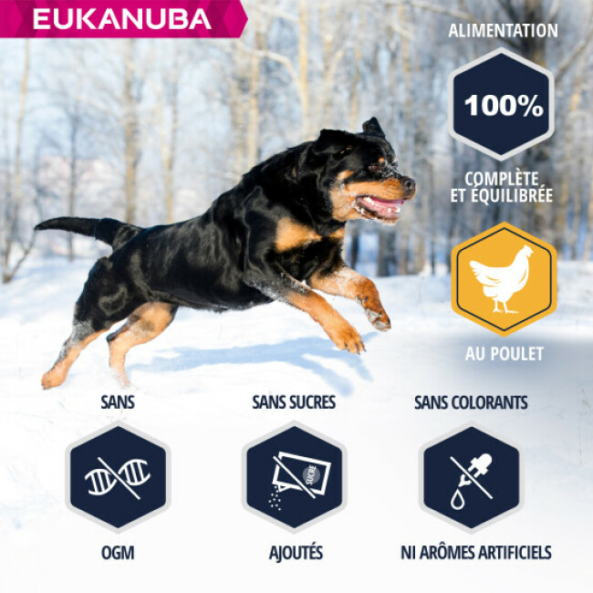 eukanuba rottweiler