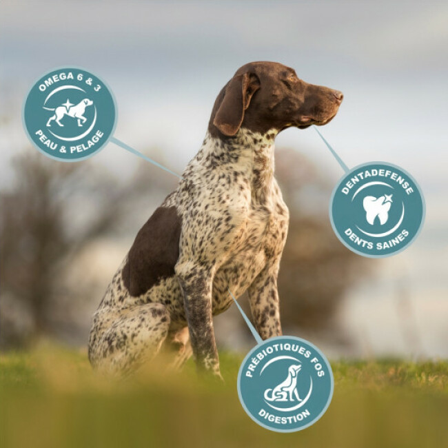 EUKANUBA Life Care Croquettes Chien Adulte Grande Race 18 Mois à 6 Ans