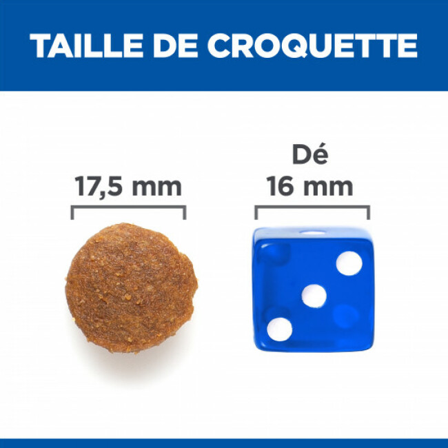 Eukanuba Life Care Croquettes Chien Adulte Grande Race - Saumon & Orge, 12kg - Sans Colorants Artificiels