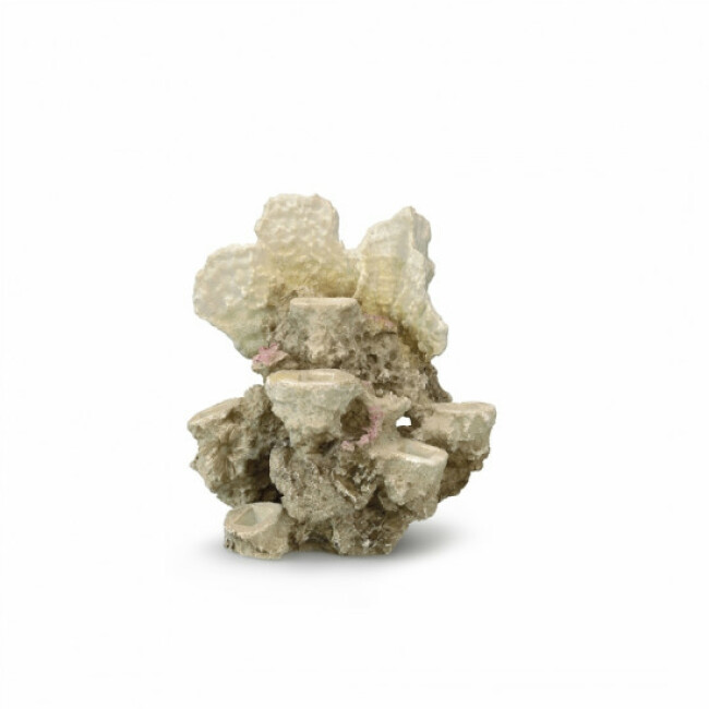 Décoration pour aquarium corail coloris naturel Reef - Taille ML