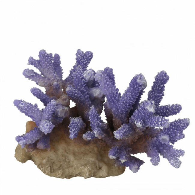 Décoration corail Coraal Acropora Aqua Dela - mauve