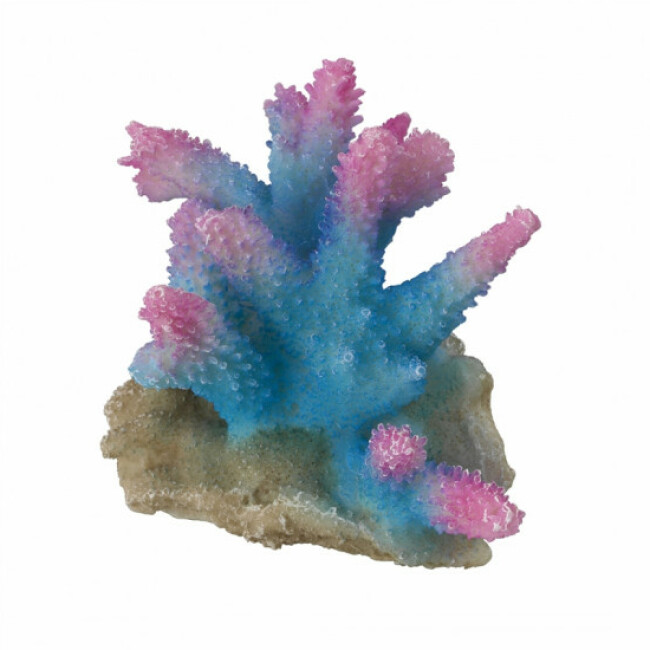 Décoration pour aquarium corail Acropora Aqua Della - Bleu/Rose