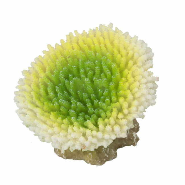 Décoration pour aquarium corail Efflorescens Aqua Della - Citron vert