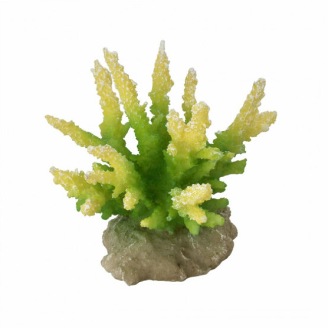Décoration pour aquarium corail citron vert Hydnopora Aqua Della
