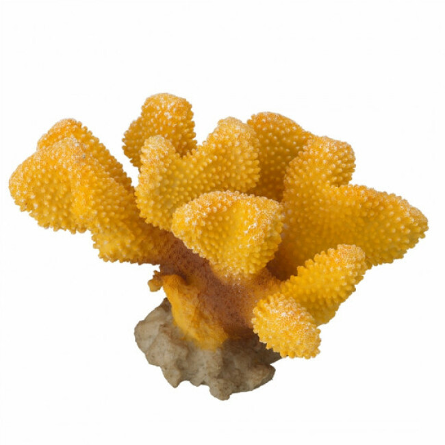 Décoration pour aquarium corail Pavona Cactus Aqua Della - Jaune
