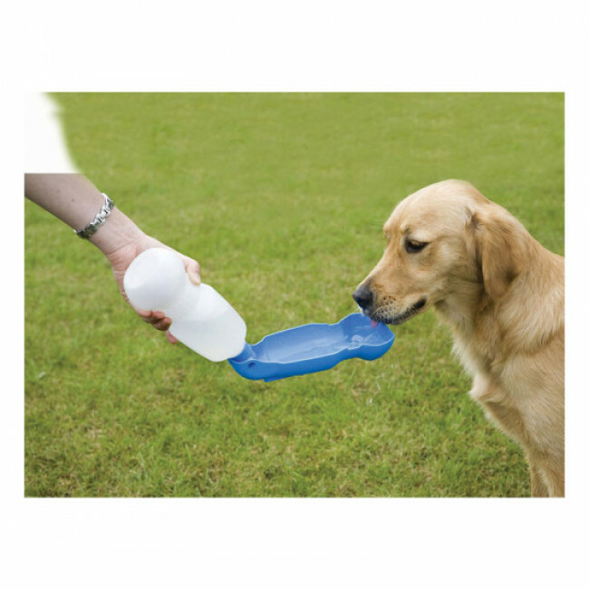 Distributeur d'eau de voyage abreuvoir AquaBoy Savic 800 ml