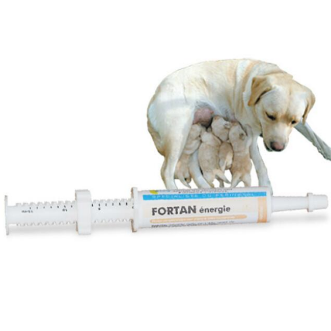 FORTAN énergie, concentré hyper-énergétique à base de colostrum