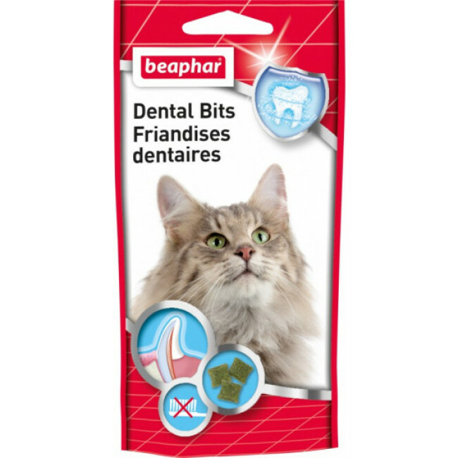 Friandise Pour Chat Combien Par Jour Friandises dentaires à la chlorophylle Beaphar pour chat